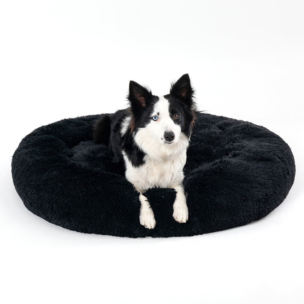 Coussin apaisant pour animaux domestiques