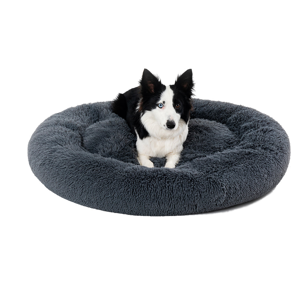 Coussin apaisant pour animaux domestiques